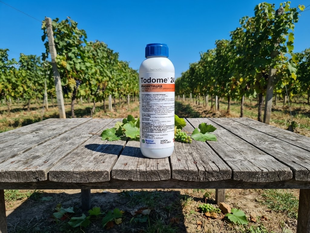 Todome 24 SC / 100ml