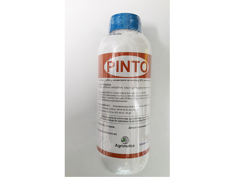 Pinto / 200ml