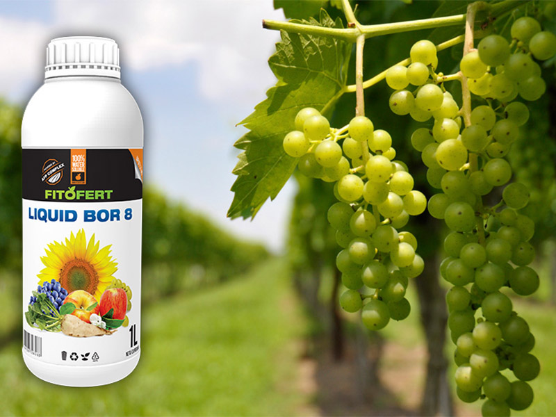 Liqui bor 8 250ml