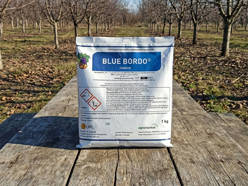 Blue Bordo / 1kg
