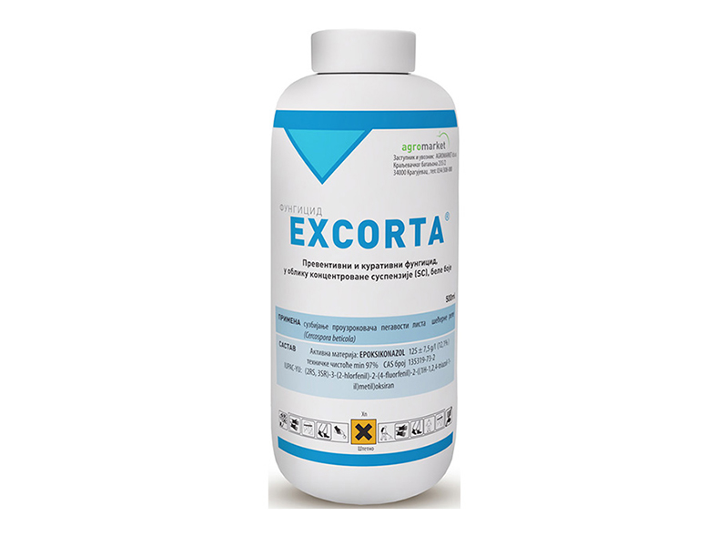Excorta - Slika 1
