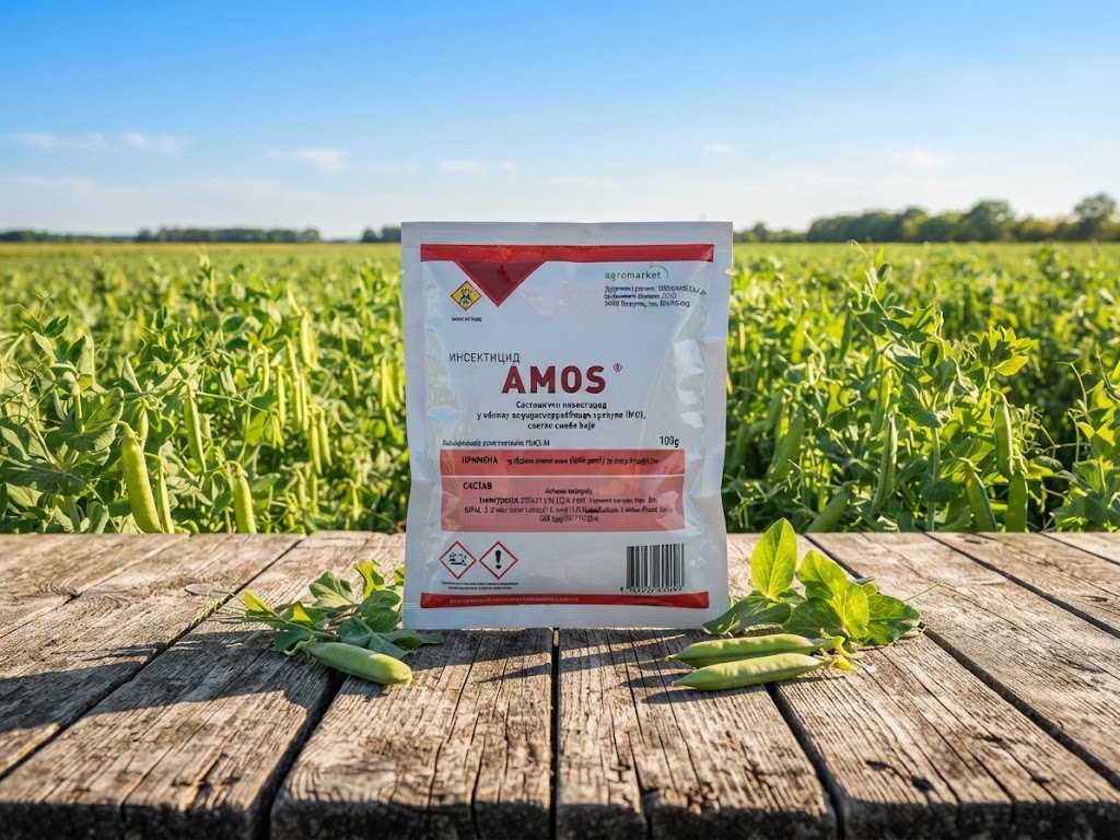 Amos - Slika 1