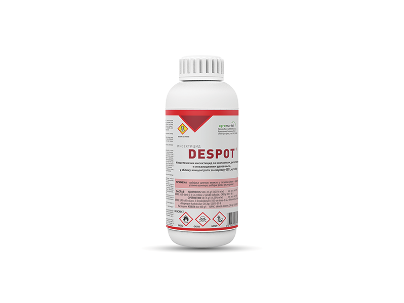 Despot / 1lit