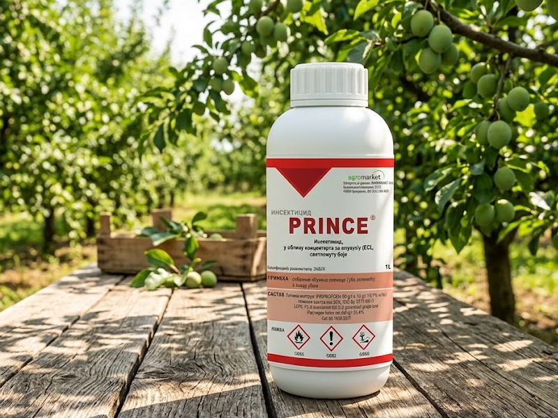 Prince 100 ml