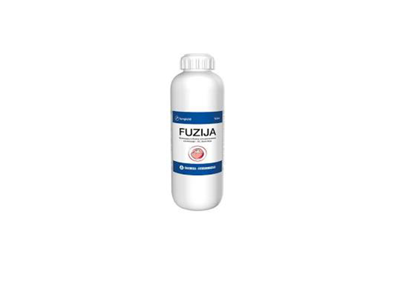 Fuzija - Slika 1