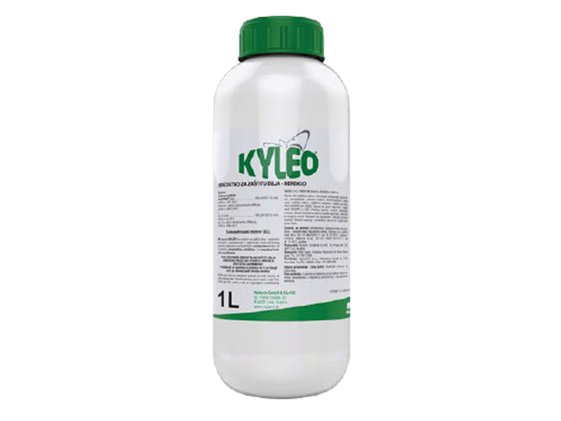 Kyleo / 1l