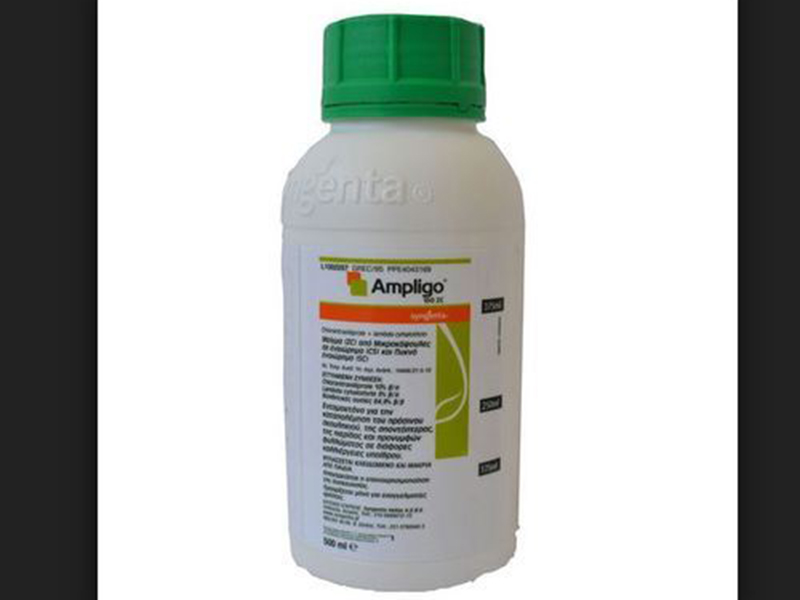 Ampligo 150ZC  / 50ml