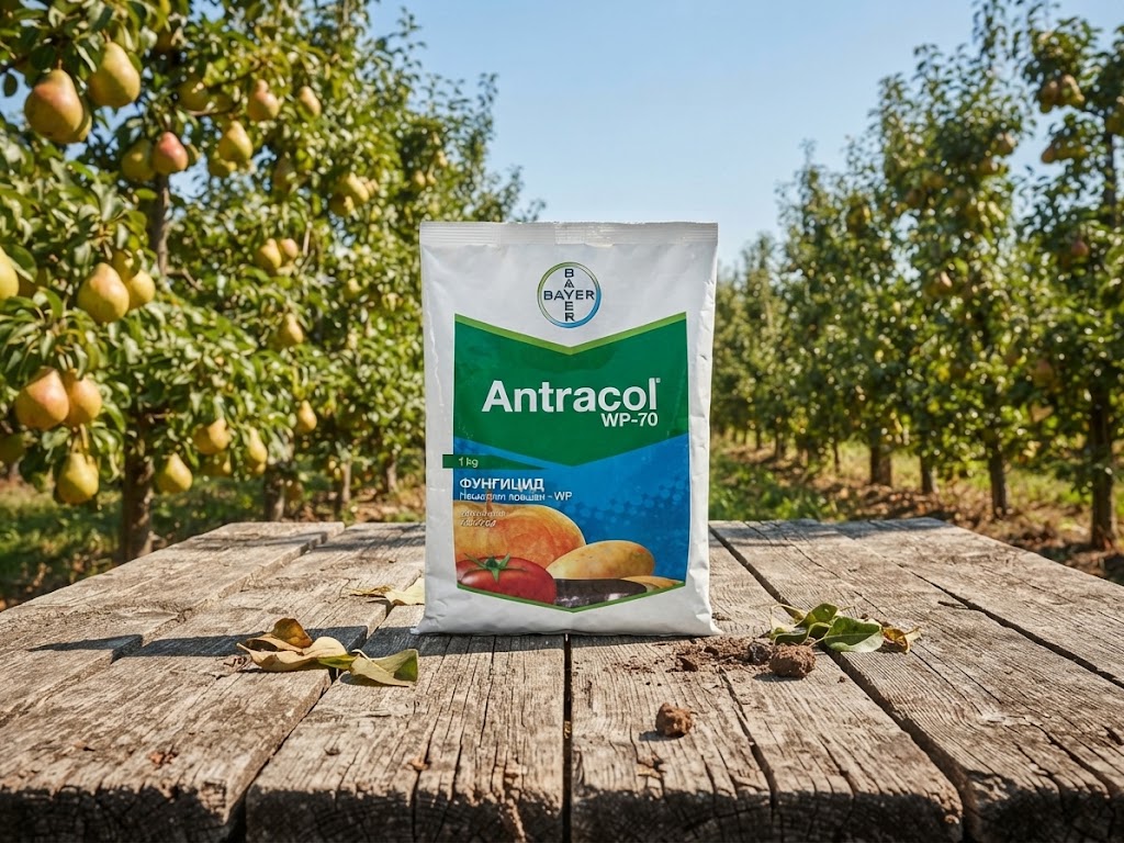 Antracol 70-WP / 200g