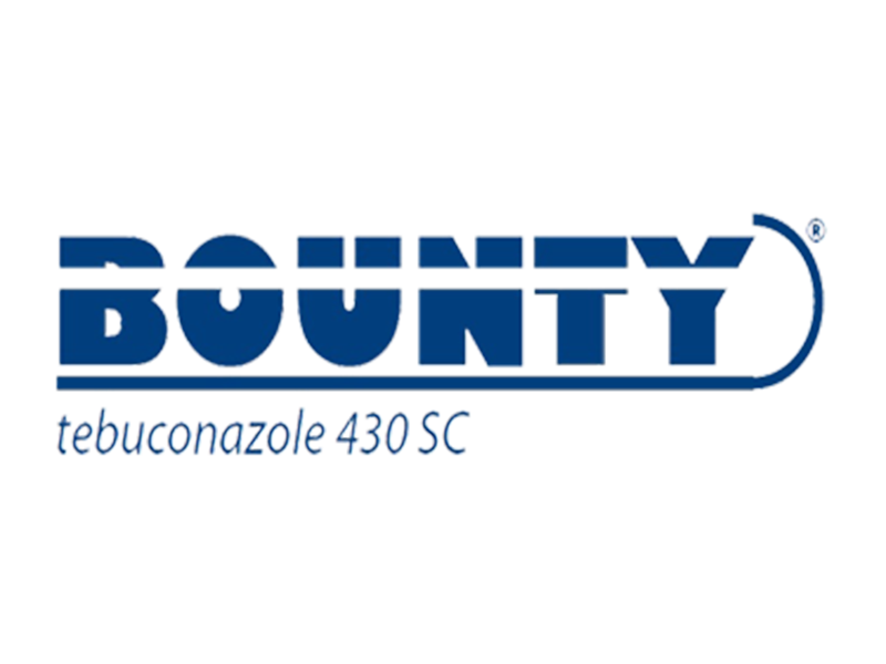 Bounty - Slika 1