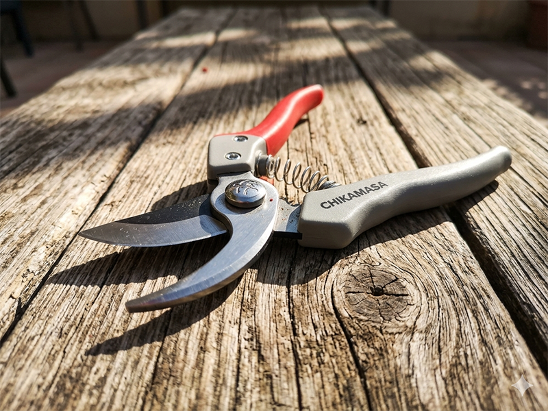 Chikamasa makaze r. ps 8+r