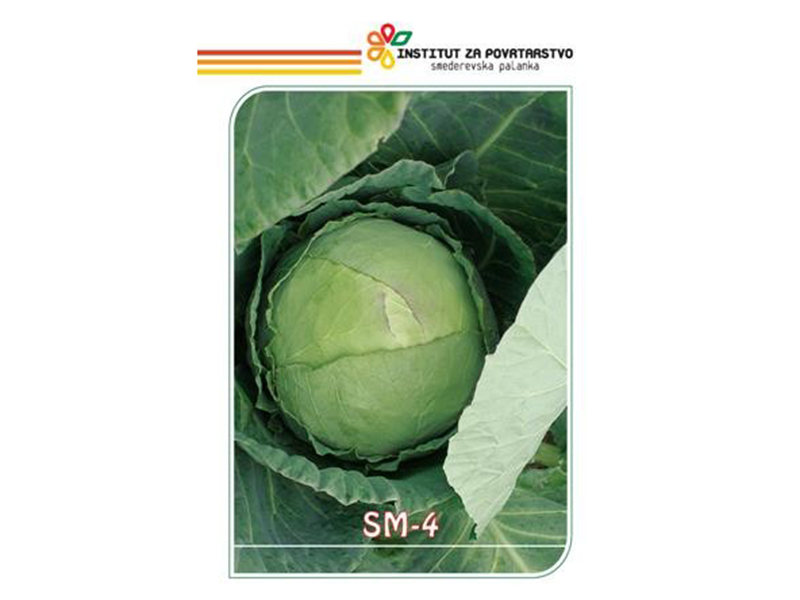 Kupus Srpski melez 4 25g s.palanka