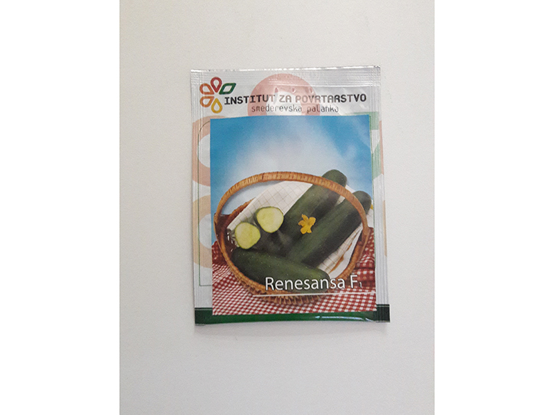 Krastavac Renesansa F1 Smederevska palanka - Slika 1