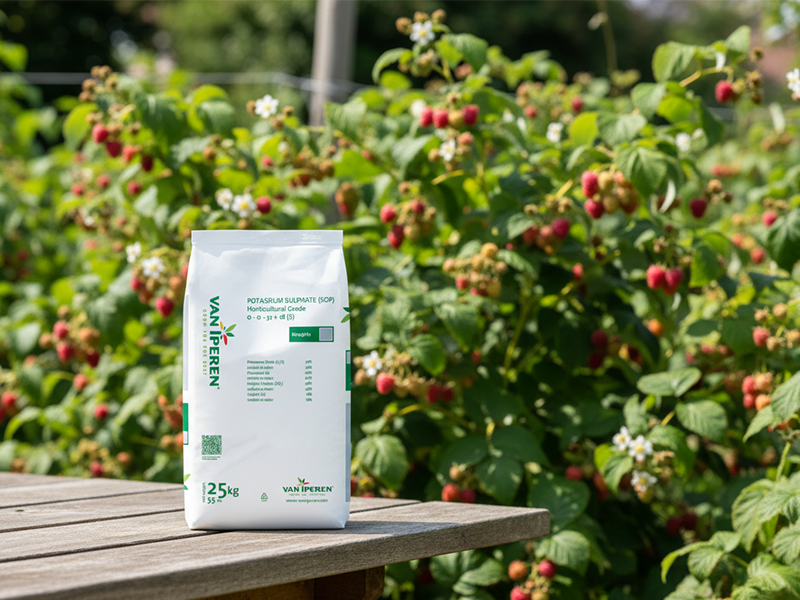 Kalijum sulfat kg Van Iperen