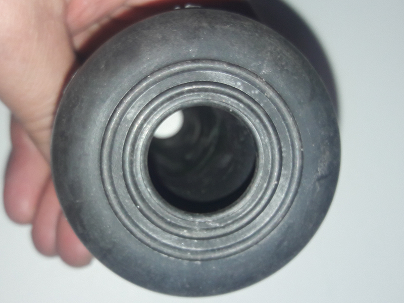 Sisna guma wetsfalija - Slika 1