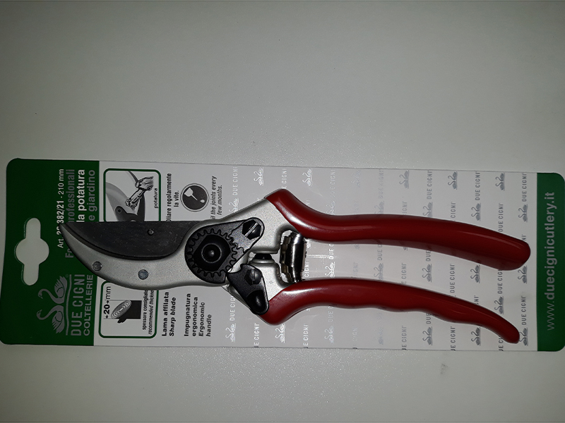 mak.r.due cigni 382-21