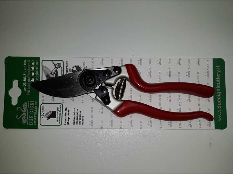 mak.r.due cigni 383-21