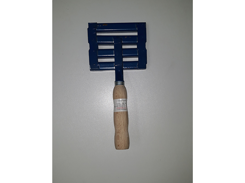 Češagija - Slika 1