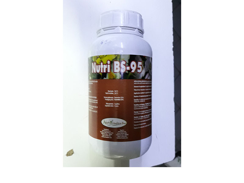 Nutri BS 95 - Slika 1
