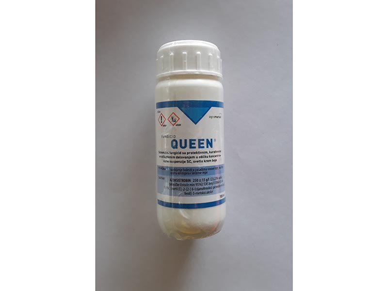 Queen / 25 ml