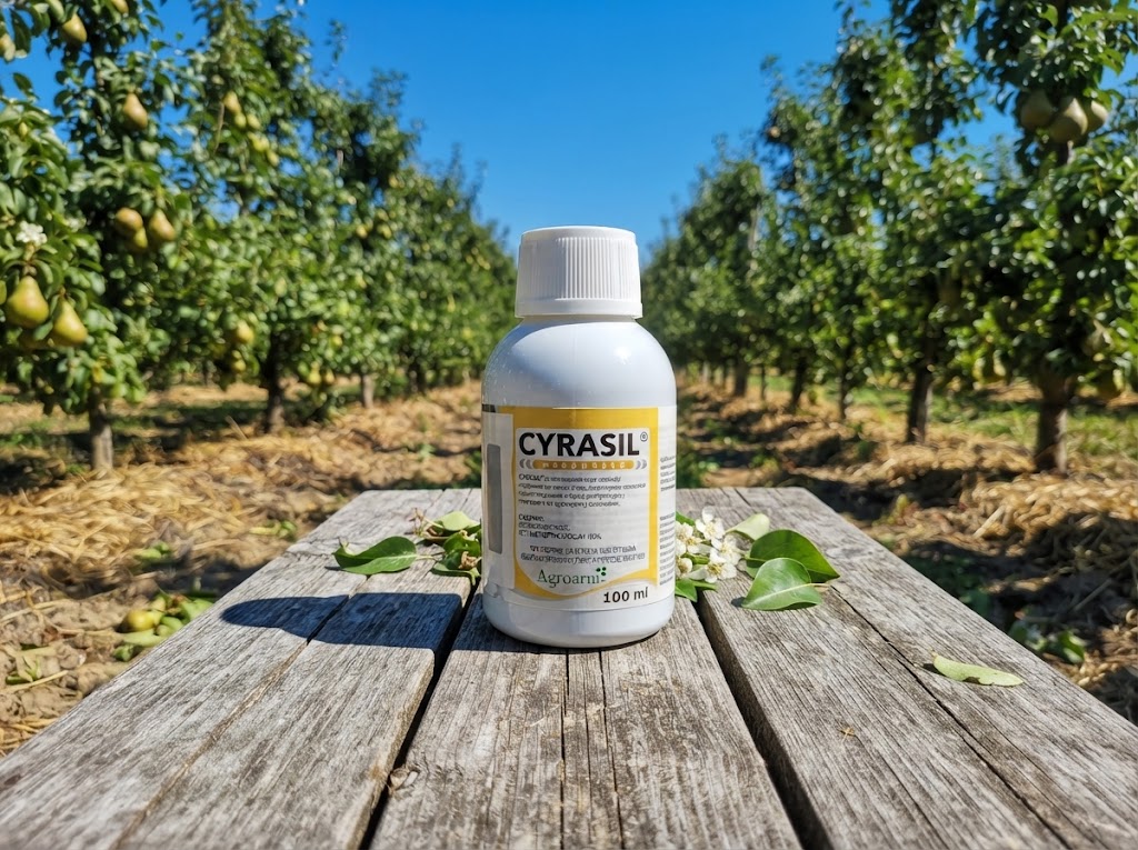 Cyrasil - Slika 1