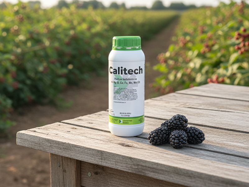 Calitech 1l Trade Corp