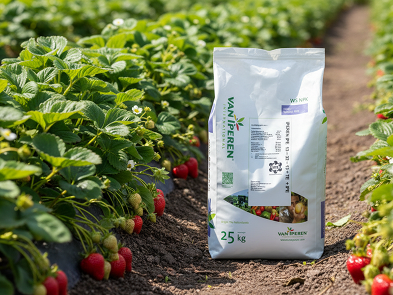 NPK 13-32-13 25/1 po kg Van Iperen