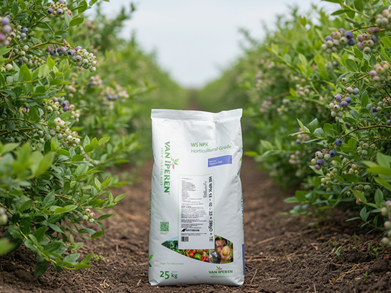 NPK 15-10-25 25/1 po kg Van Iperen