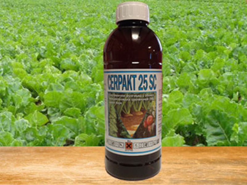 Cerpakt 25 SC / 1lit