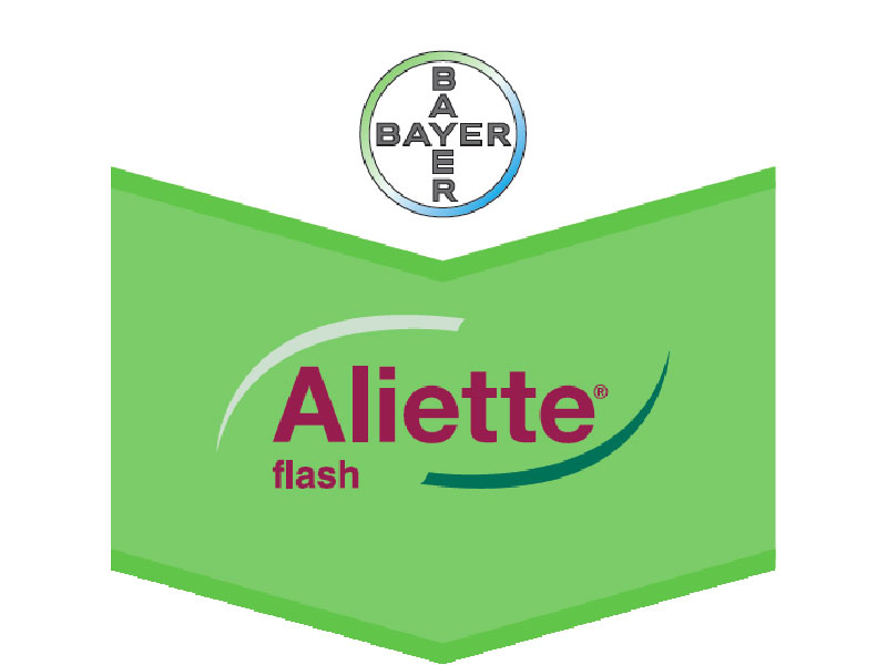Aliette Flash - Slika 1