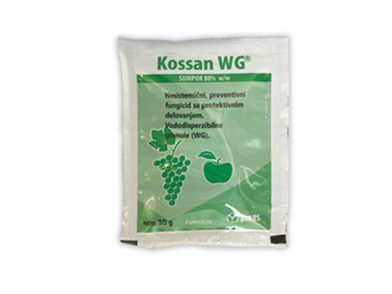 Kossan WG /  30g