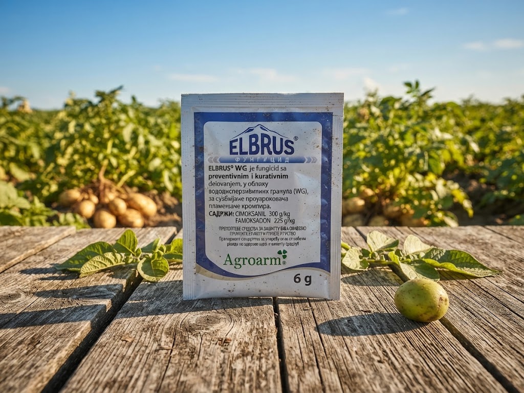 Elbrus WG  / 6g