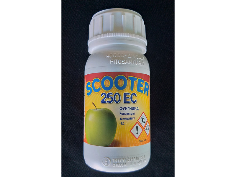 Scooter 250 EC 1lit
