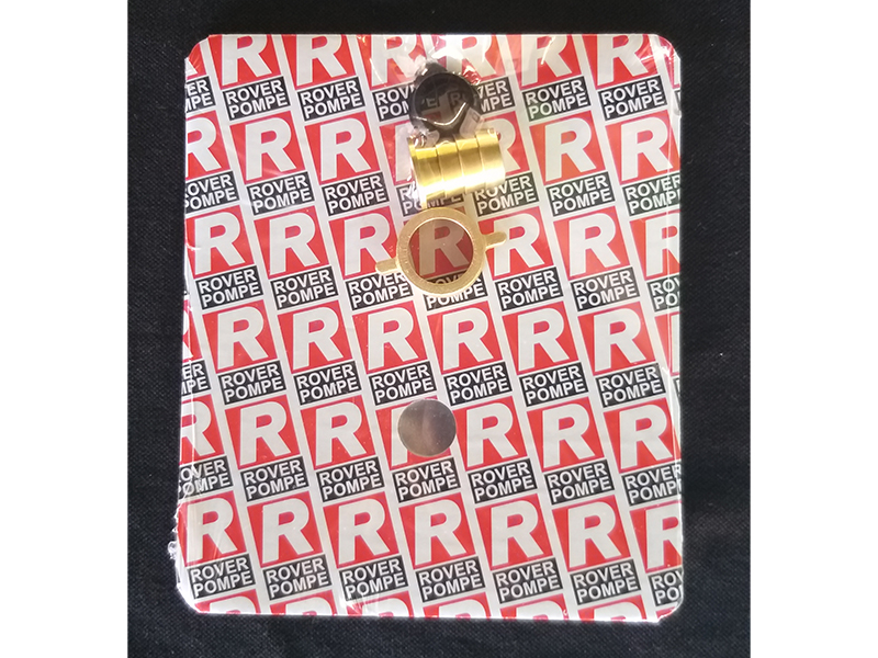 Holender rover - Slika 2