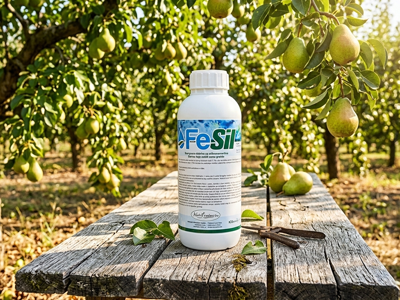 FeSil / 1l