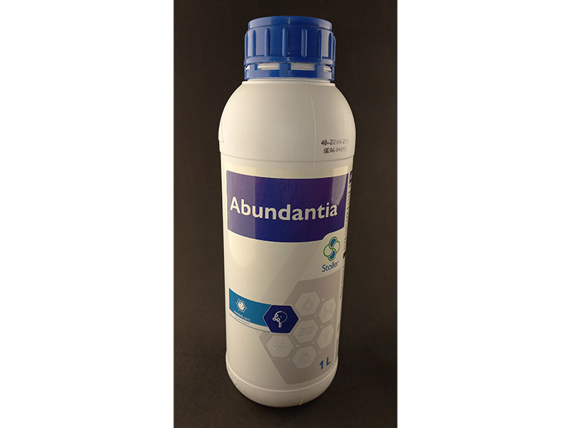 Abundantia A Stoller - Slika 1