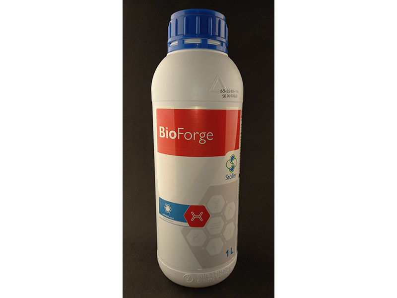 Bioforge A Stoller - Slika 1