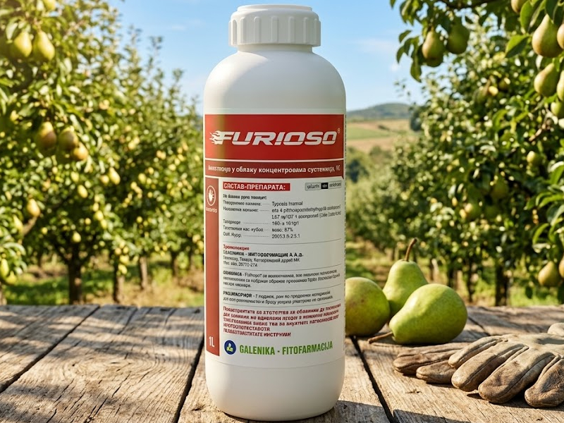 Furioso - Slika 1