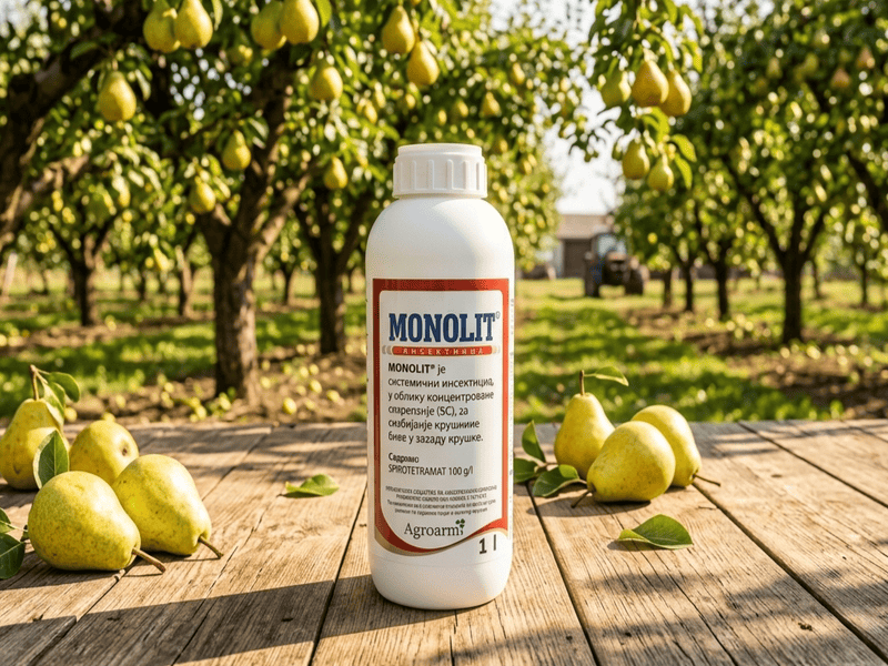 Monolit - Slika 1