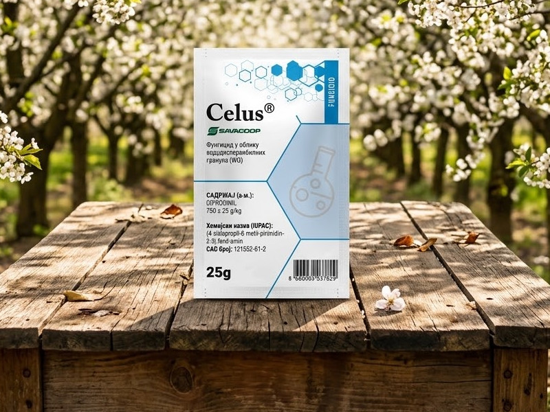 Celus 25gr