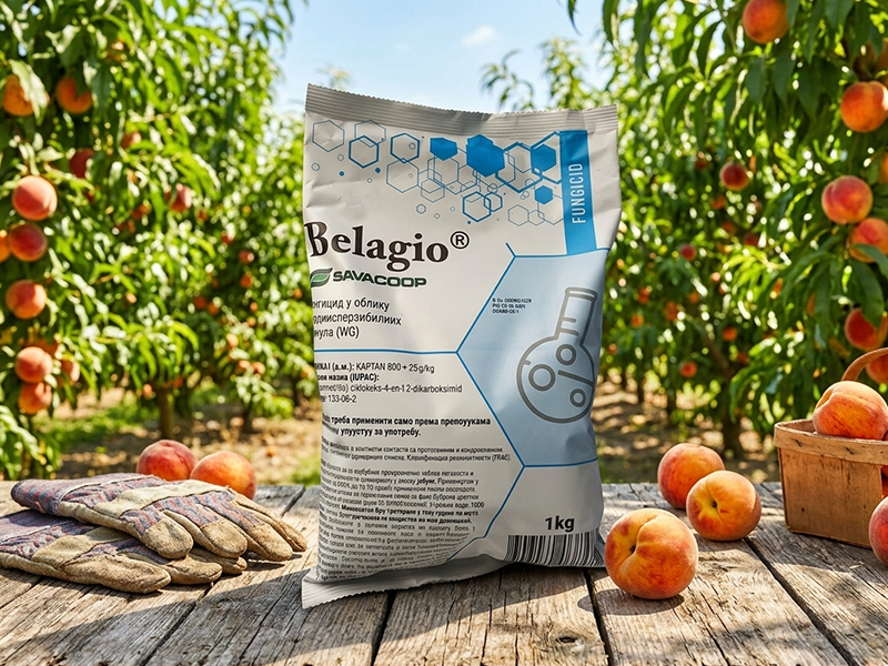 Belagio WG - Slika 1