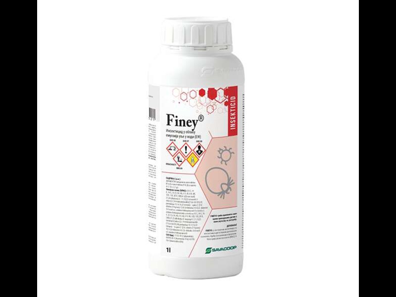 Finey EW - Slika 1