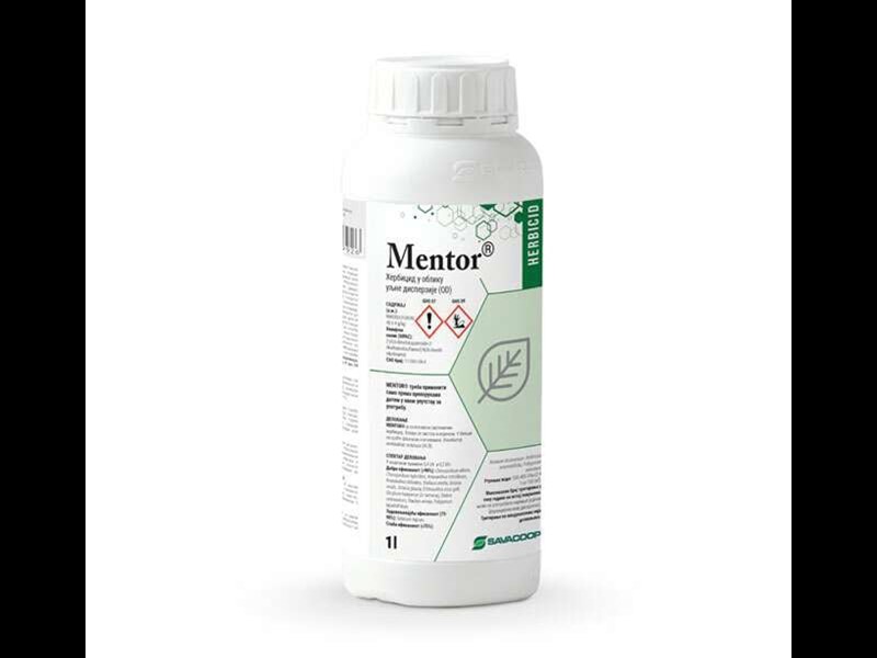 Mentor OD 1/1