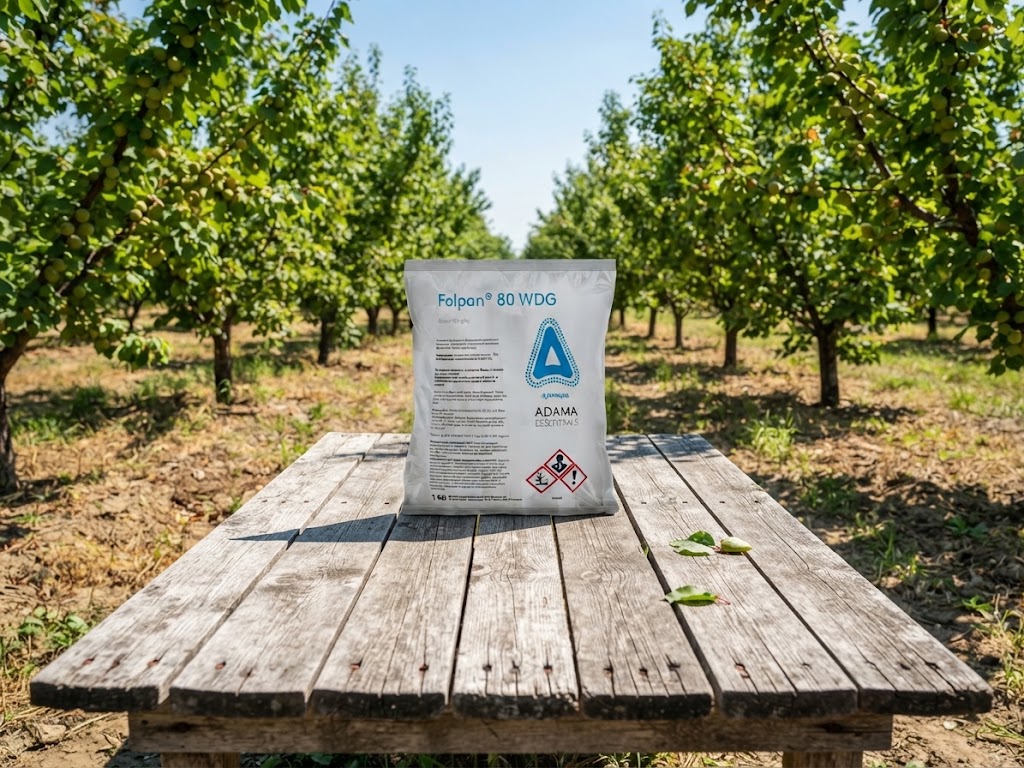 Folpan  80 WDG 1kg
