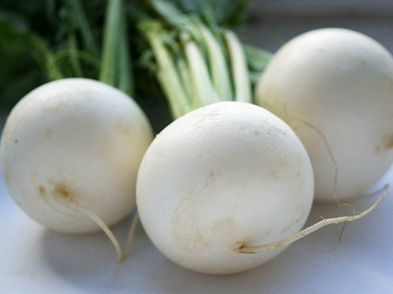 Rotkva Bela - zimska - Slika 1