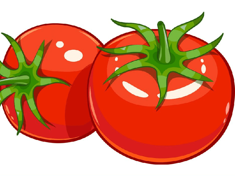 Paradajz Miceno f1 2500s syngenta