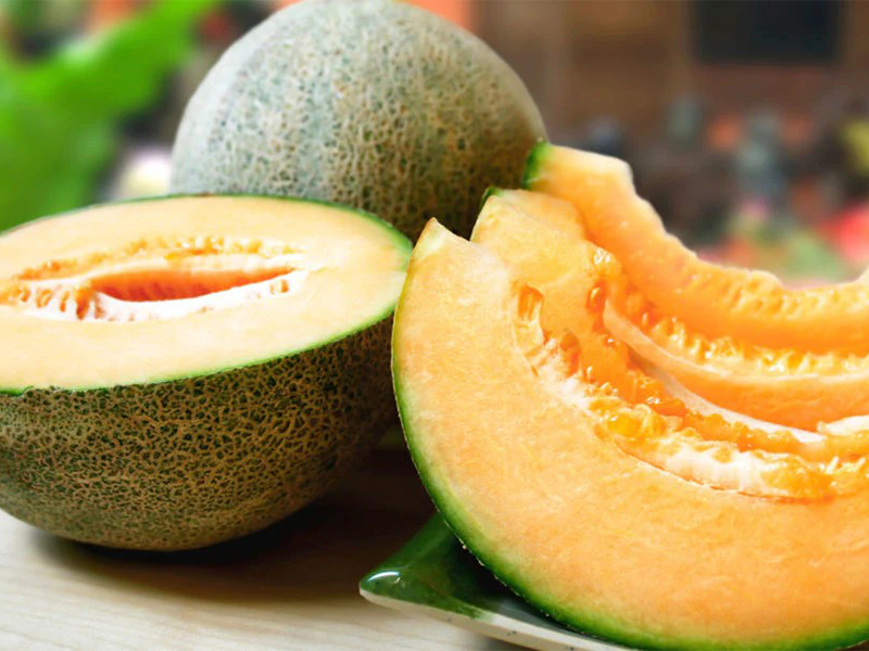 Dinja Akiles F1 - italian netted - Slika 2