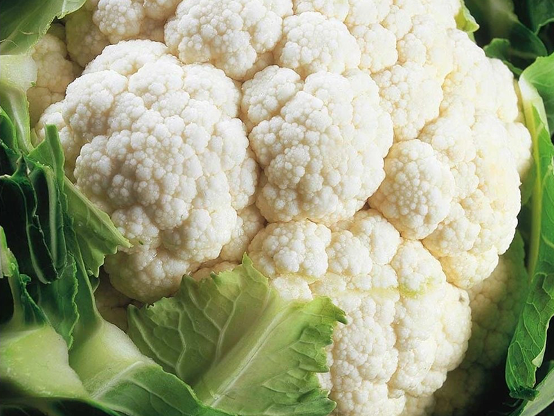 Karfiol Alston f1 2500s sakata