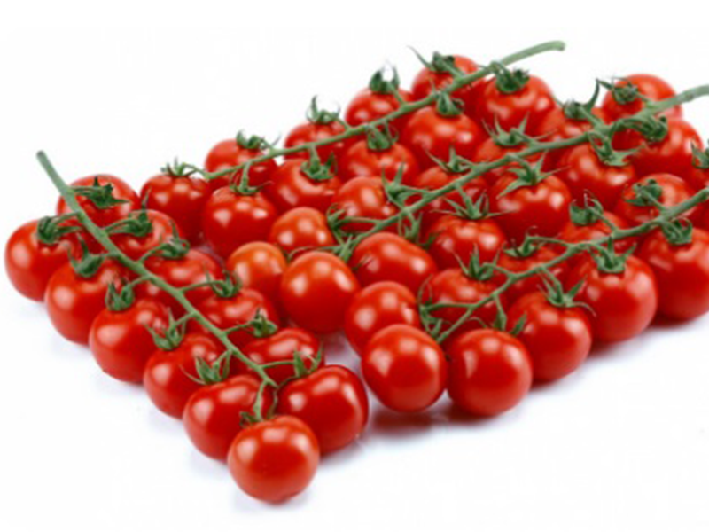 Paradajz Sicuro F1 - cherry - Slika 1