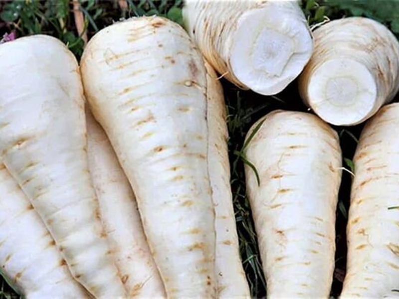 Pastrnak White gem - Slika 1