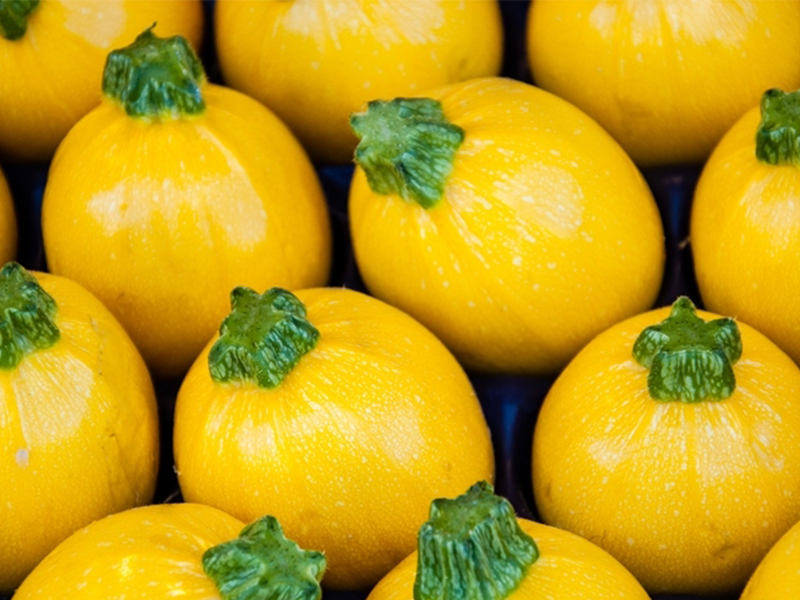 Tikvica Yellow ball F1 - Slika 1